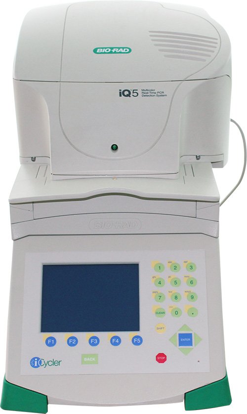 伯乐iQ5荧光定量PCR仪
